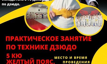 Мероприятие по технике жёлтого пояса 5 КЮ!